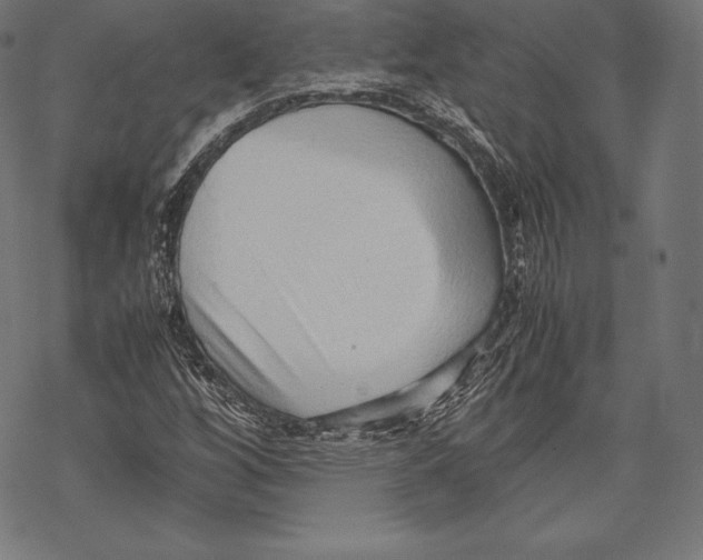 X0000067831256200605111608