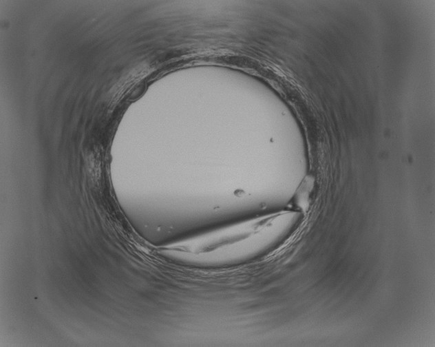 X0000067831257200605111608