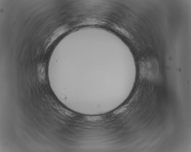 X0000067831258200605111608