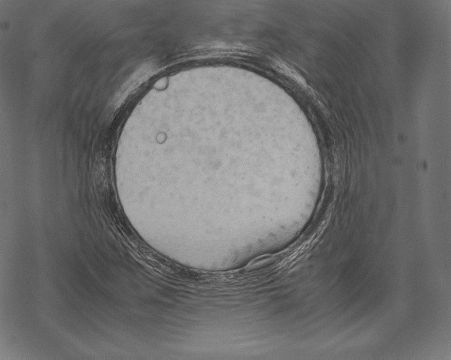 X0000067831259200605111608