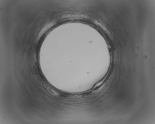 X0000067831261200605111608