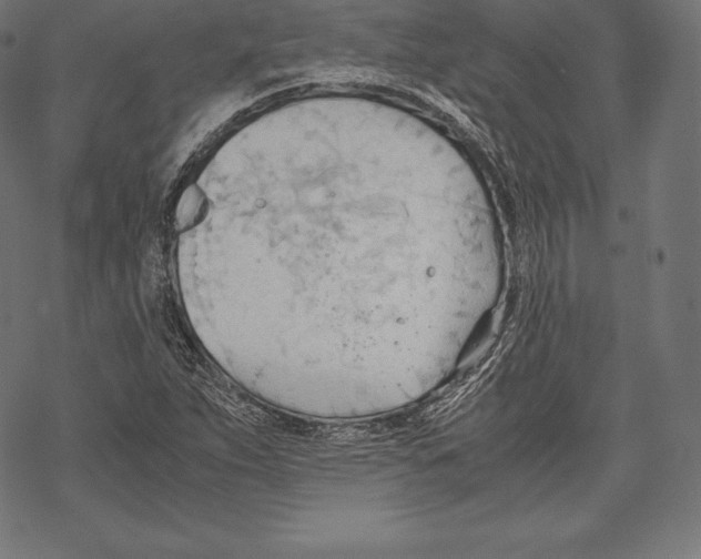 X0000067831263200605111608