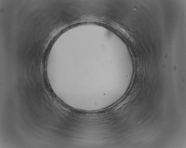 X0000067831264200605111608