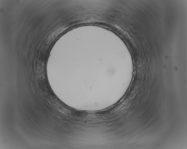 X0000067831265200605111608