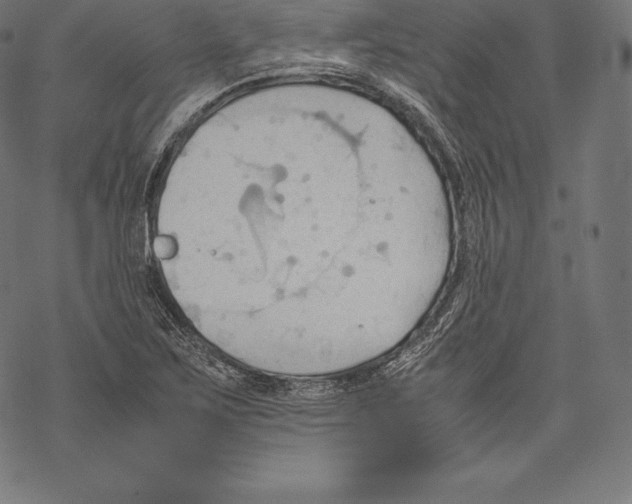 X0000067831267200605111608