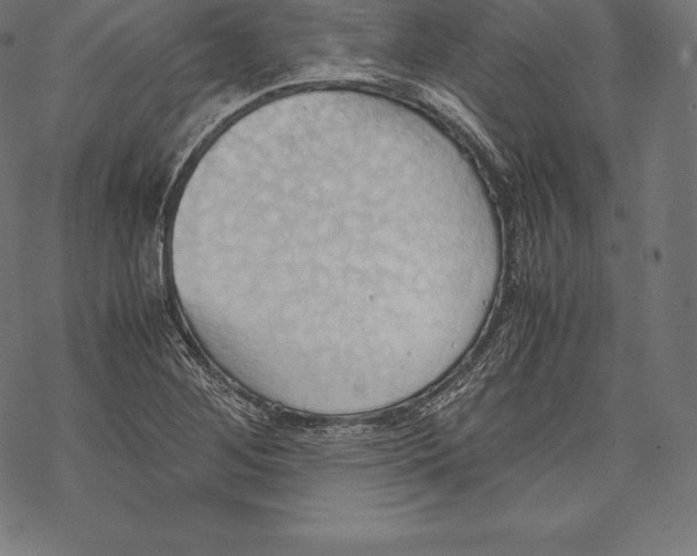 X0000067831268200605111608