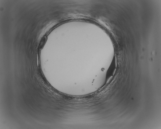 X0000067831269200605111608