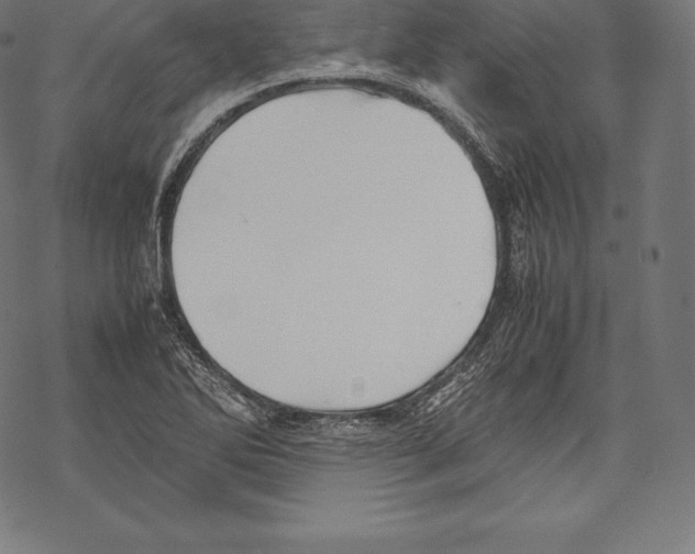 X0000067831270200605111608