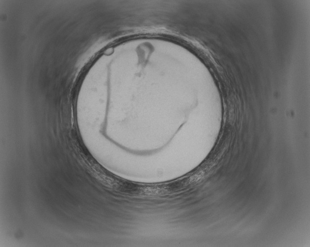 X0000067831271200605111608