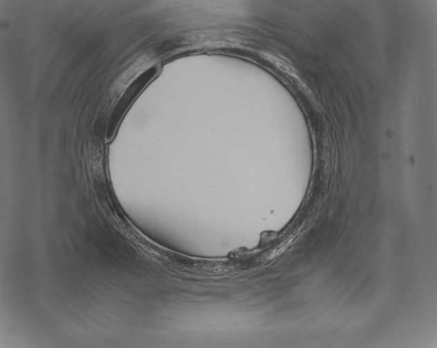 X0000067831273200605111608