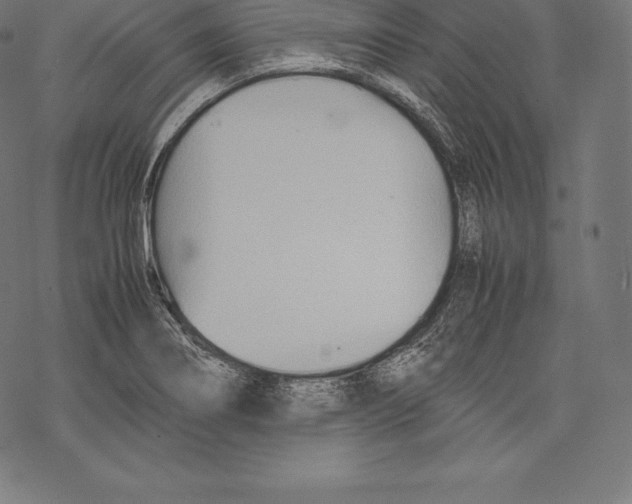 X0000067831274200605111608