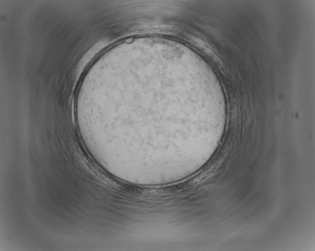 X0000067831275200605111608