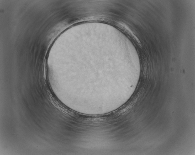 X0000067831276200605111608