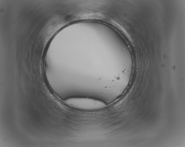 X0000067831277200605111608