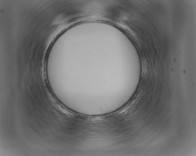 X0000067831278200605111608