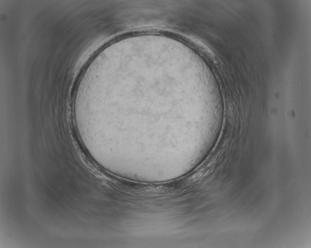 X0000067831279200605111608