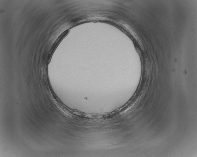 X0000067831281200605111608