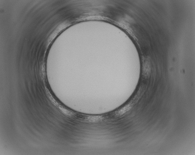 X0000067831282200605111607