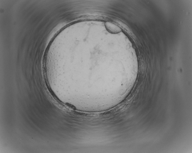 X0000067831283200605111607