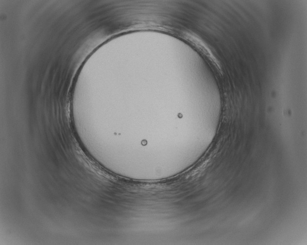 X0000067831284200605111607