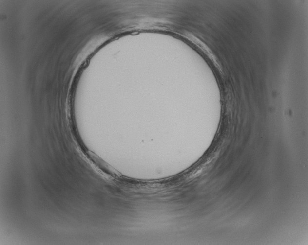 X0000067831285200605111607