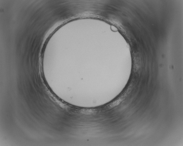 X0000067831286200605111607