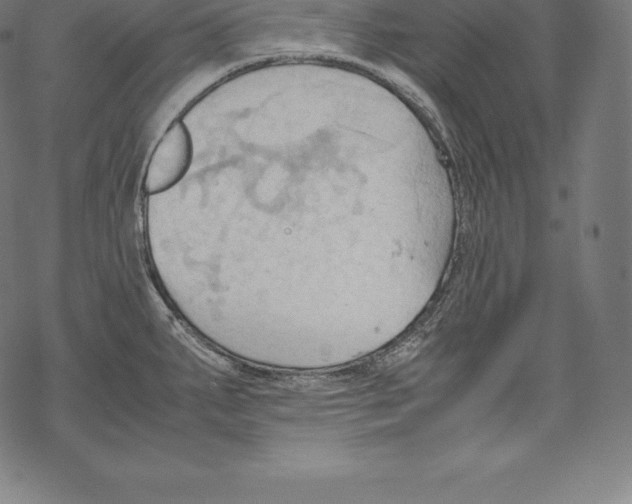 X0000067831287200605111607