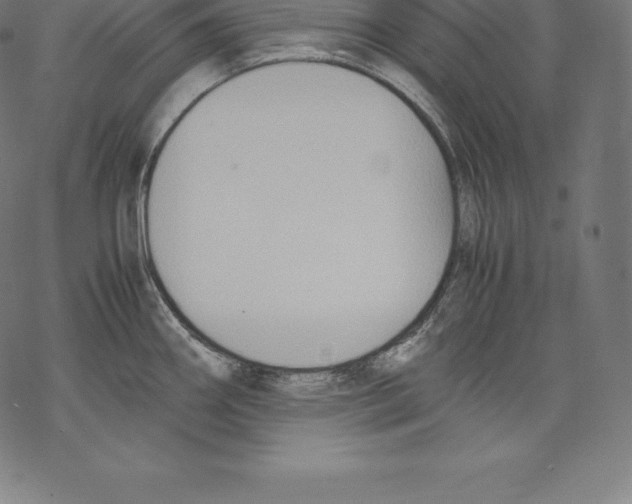 X0000067831290200605111607