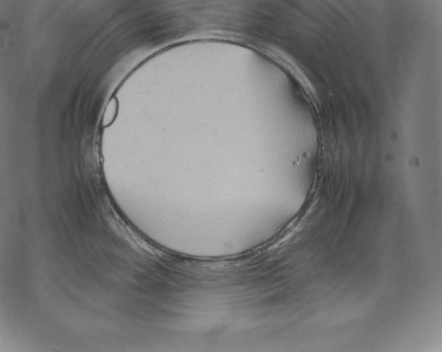 X0000067831292200605111607