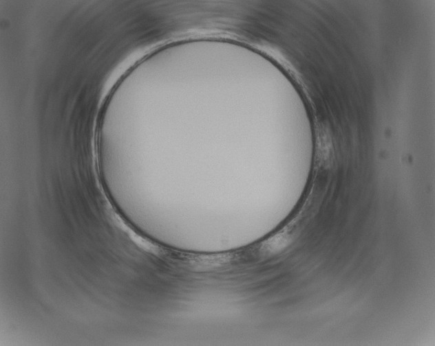 X0000067831294200605111607