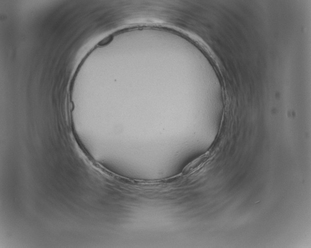 X0000067831295200605111607