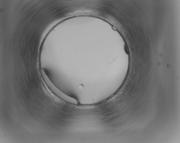 X0000067831296200605111607