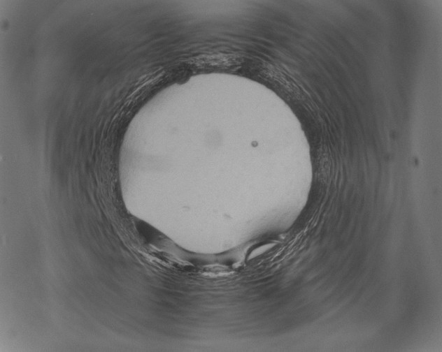 X0000067831297200605111606