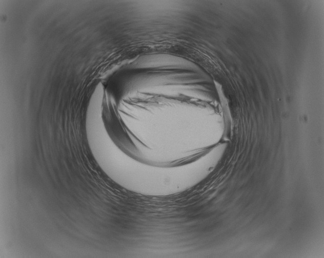 X0000067831298200605111607