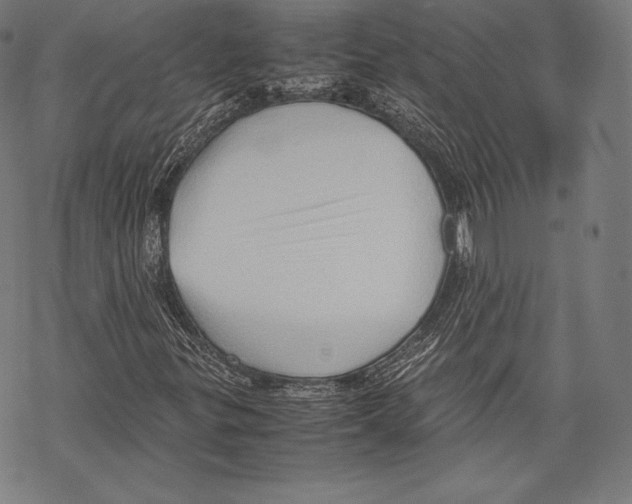 X0000067831299200605111607