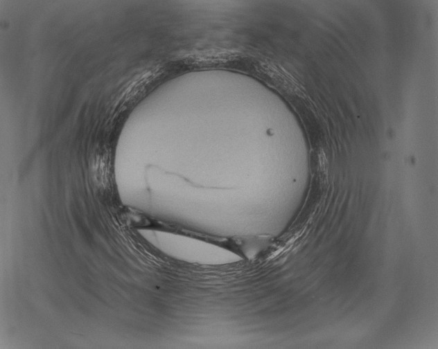 X0000067831300200605111607