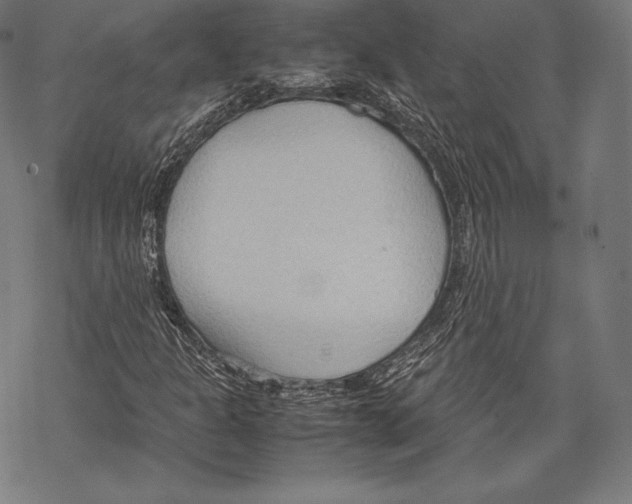 X0000067831301200605111607