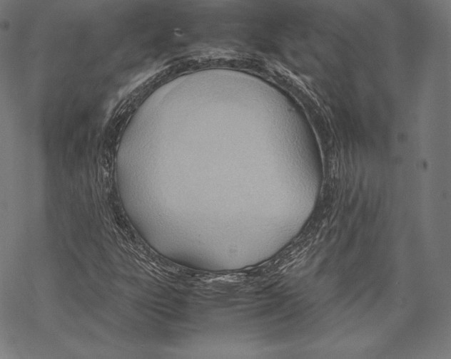 X0000067831303200605111607