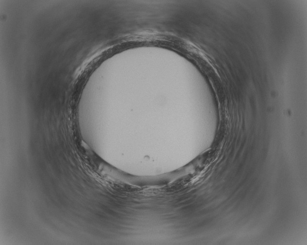 X0000067831304200605111607