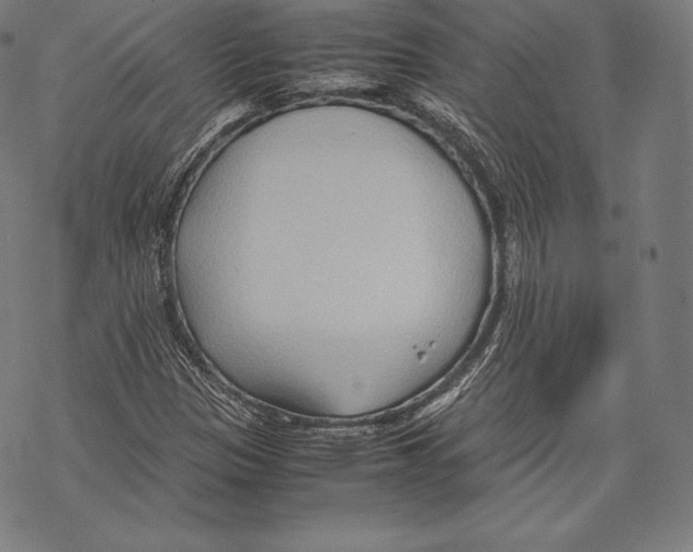 X0000067831305200605111607