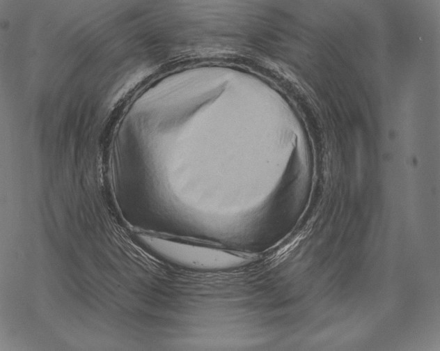 X0000067831306200605111607