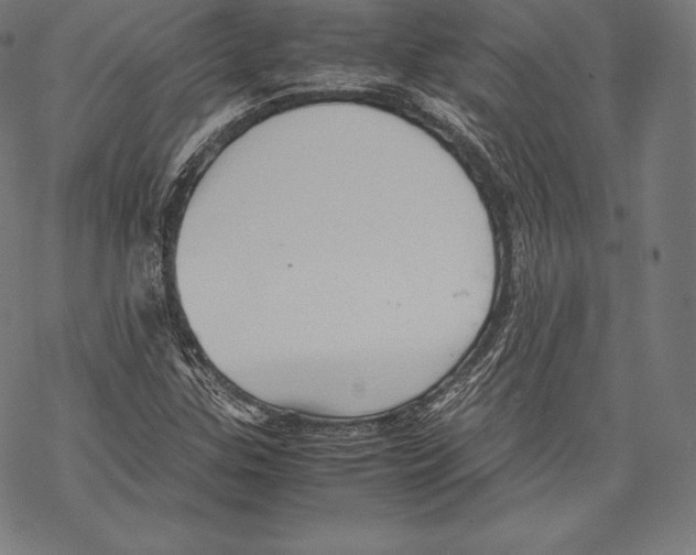 X0000067831307200605111607