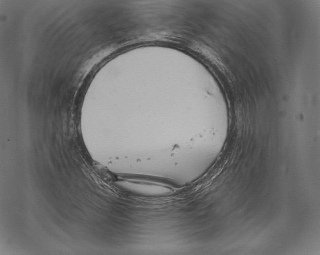 X0000067831308200605111607