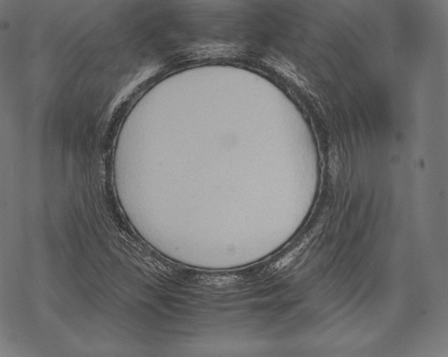 X0000067831309200605111607