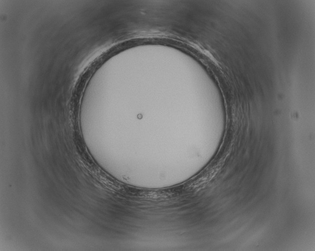 X0000067831311200605111607