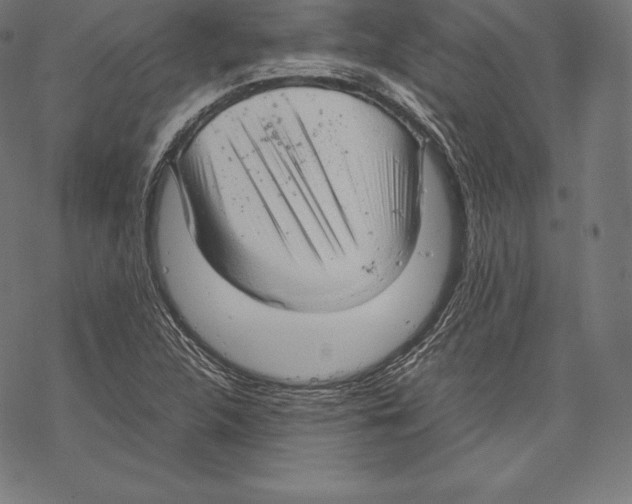 X0000067831312200605111607