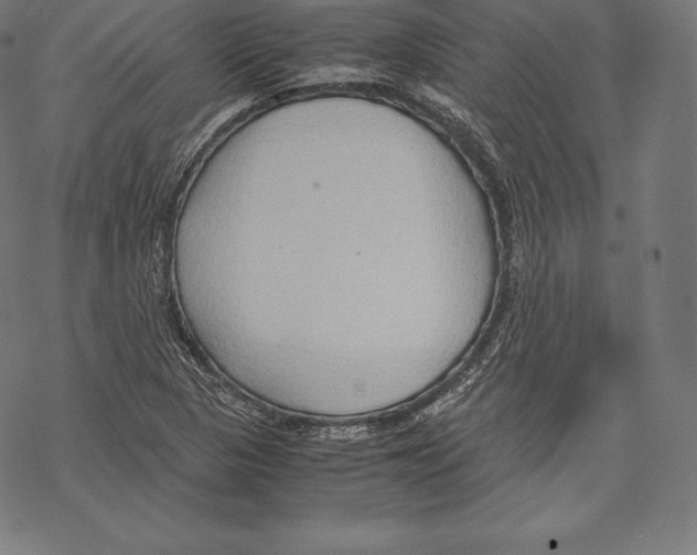 X0000067831313200605111607