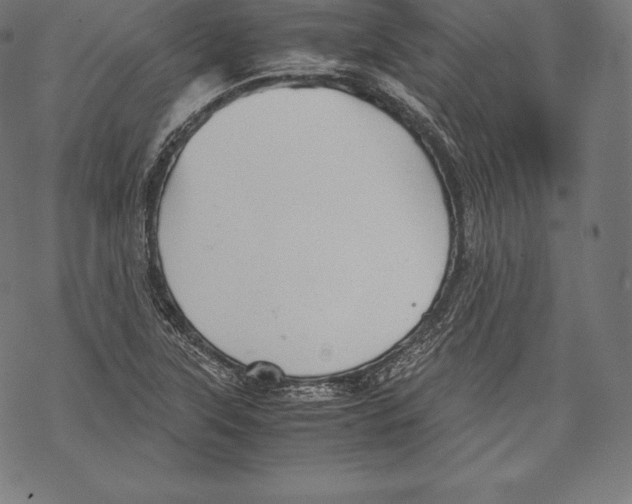 X0000067831315200605111607