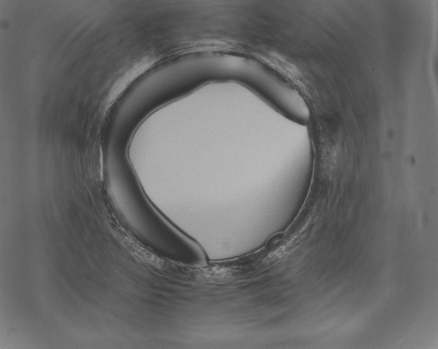 X0000067831317200605111607