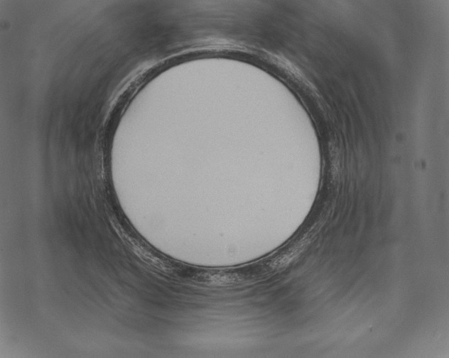 X0000067831318200605111607